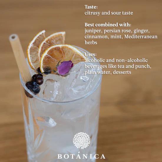 Relevez votre Gin-Tonic avec des fruits déhydratées