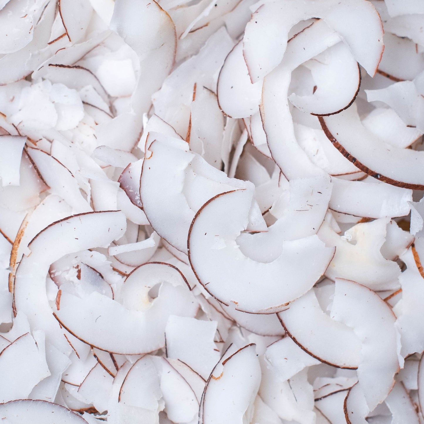 
                  
                    Noix de coco déshydraté
                  
                
