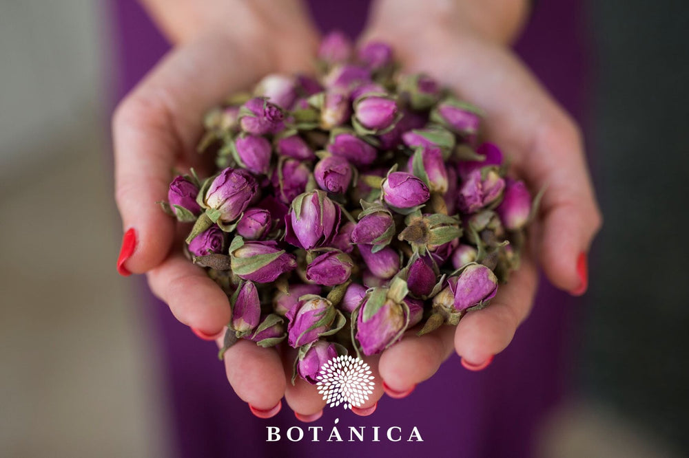
                  
                    Persian pink rose Botanicals Botanicaspices 
                  
                