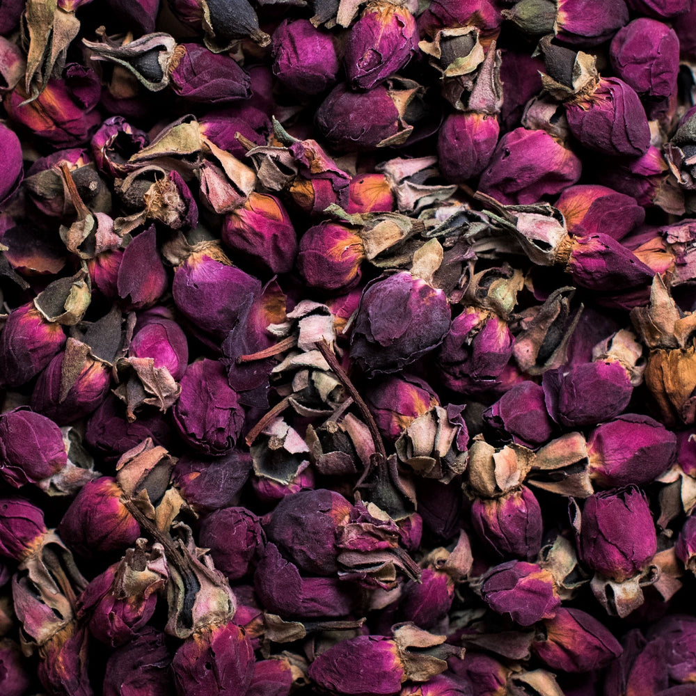 Rose rouge de Perse